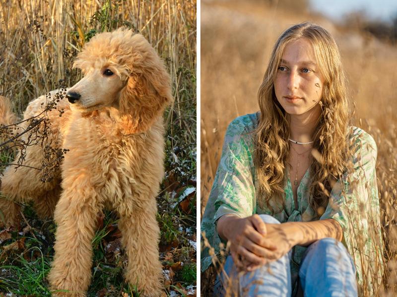 Quale razza di cane fa per me